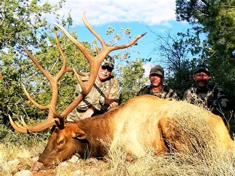 Arizona Elk Hunting 2024 .